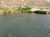 Andy swimming in pond (Owens Valley)